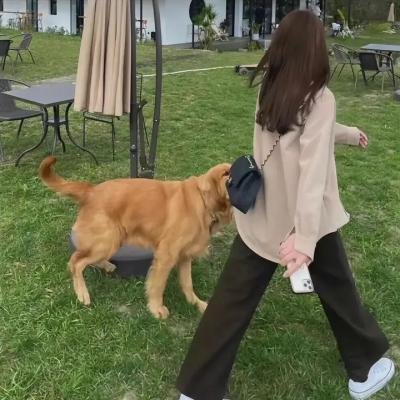 半边天